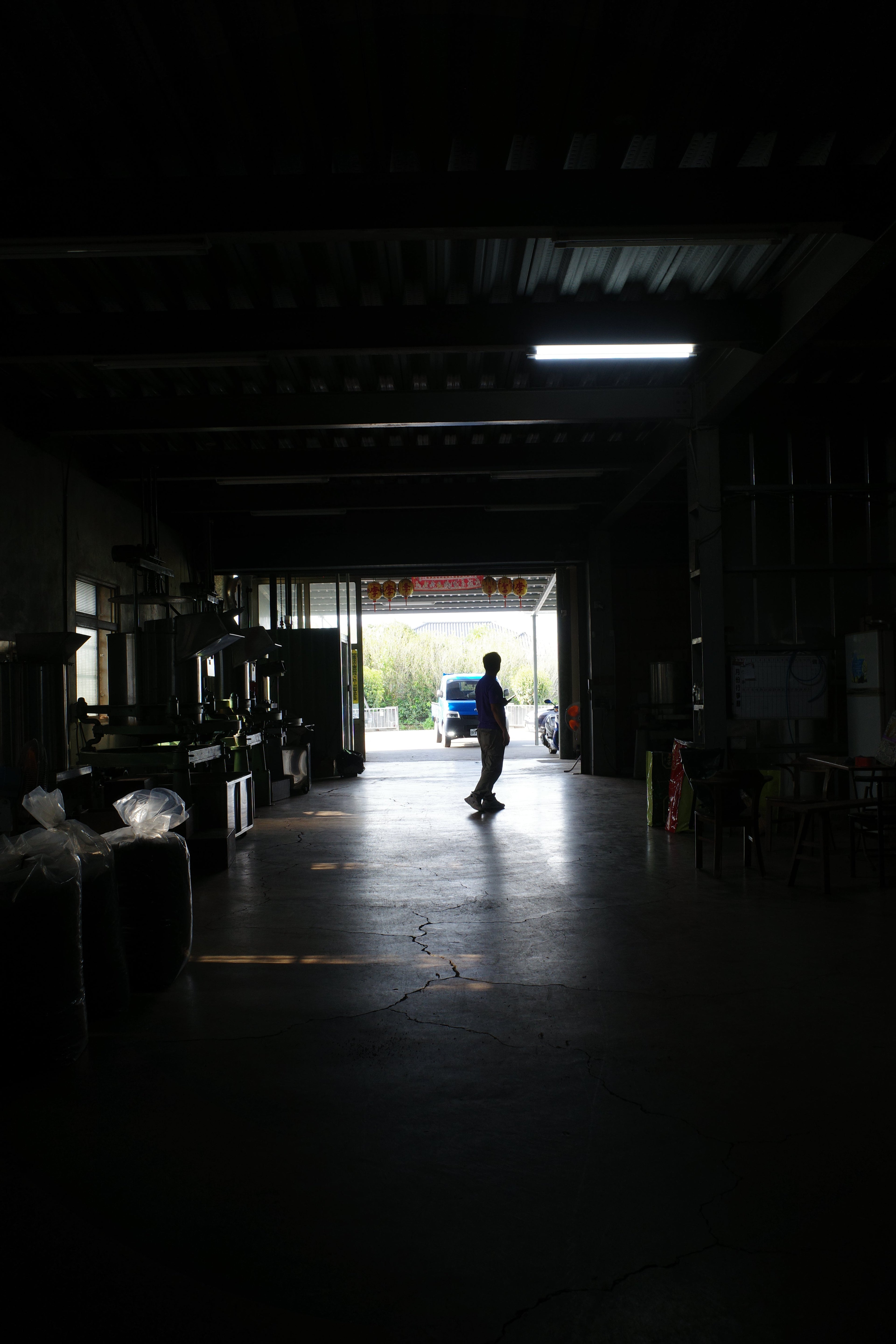 FORMOSA PHOENIX TEA FARM & FACTORY - TAIWAN